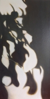 15_claude-shadows-1-38x76.jpg